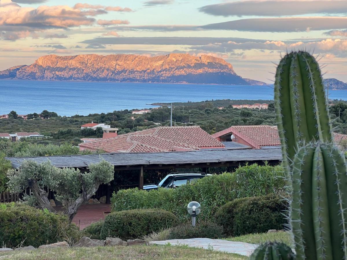 Villa A Golfo Aranci Con Vista Su Tavolara Маринелла Экстерьер фото